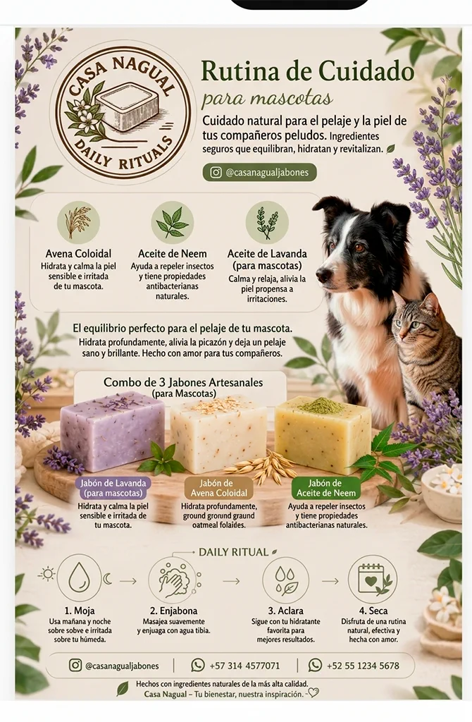 Línea de cuidado natural para mascotas Casa Nagual
